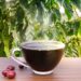Potensi Tersembunyi Secangkir Kopi dari Kintamani.
