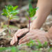 Kapan Sebuah Perusahaan Menerapkan CSR? (corporate social responsibility)